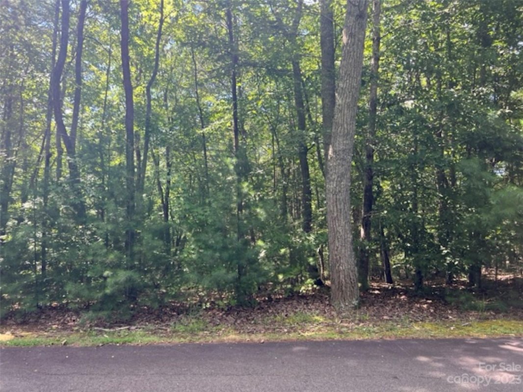 Lot 20 Settlers Trail None