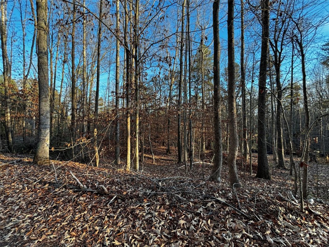 447 Hopewell Church Road
