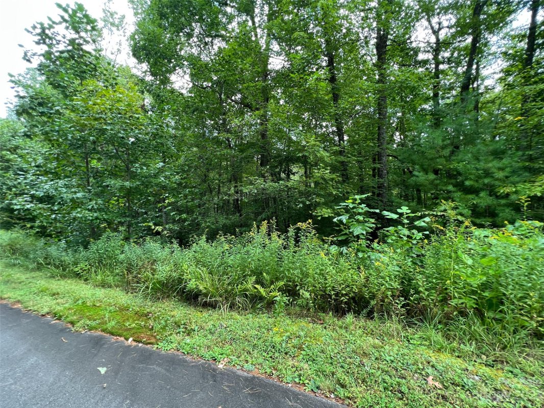 103 Laurel Thicket Lane
