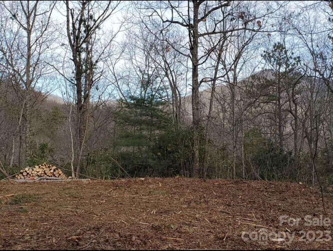 Lot 75 Honey Bee Lane