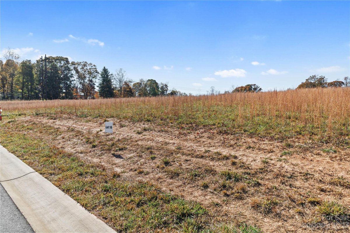 117 Scott Meadows Drive