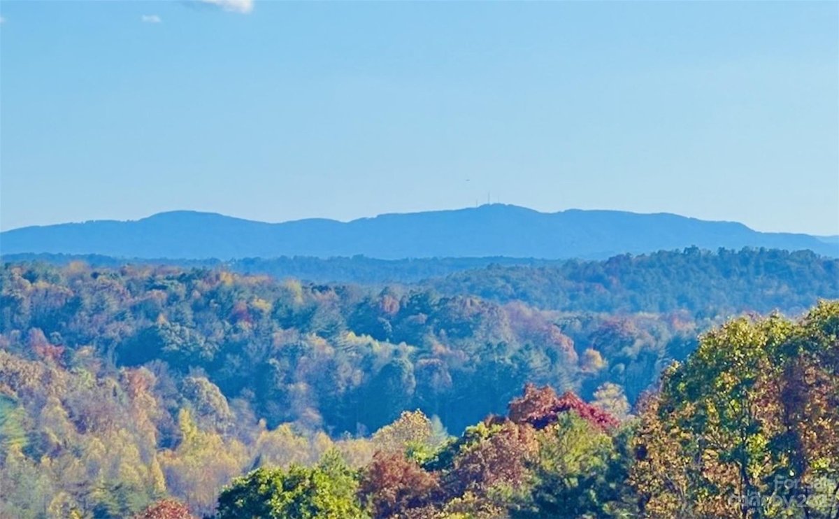1 Acre Lot G47 Hitching Post Trail