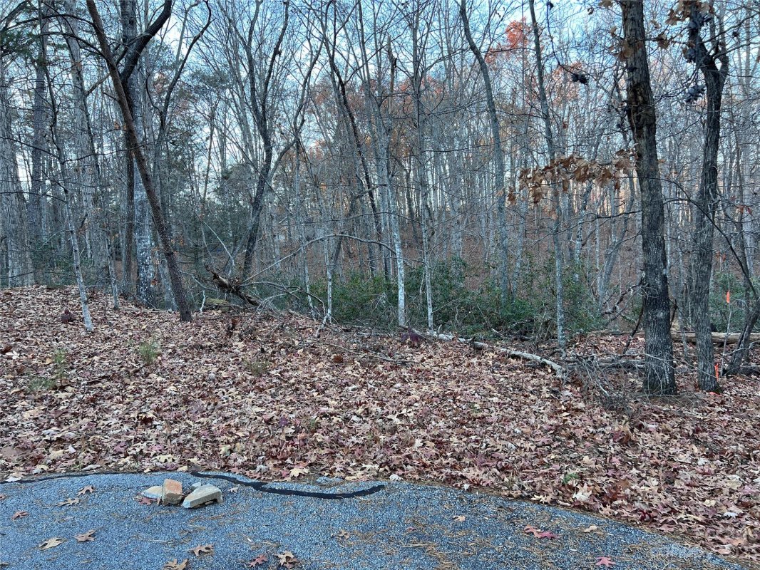 0 Rocky Mount Drive 53