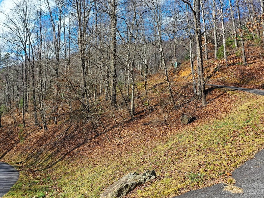 00 Basswood Cove