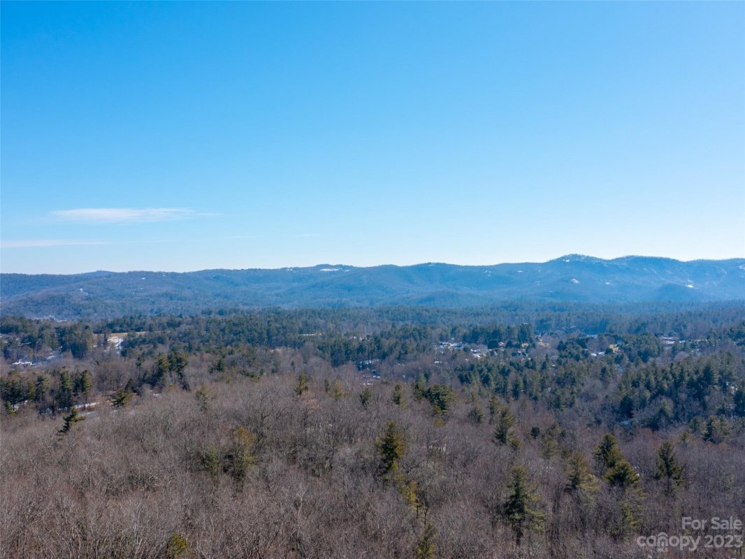 102 Bollers Knob Lane 91
