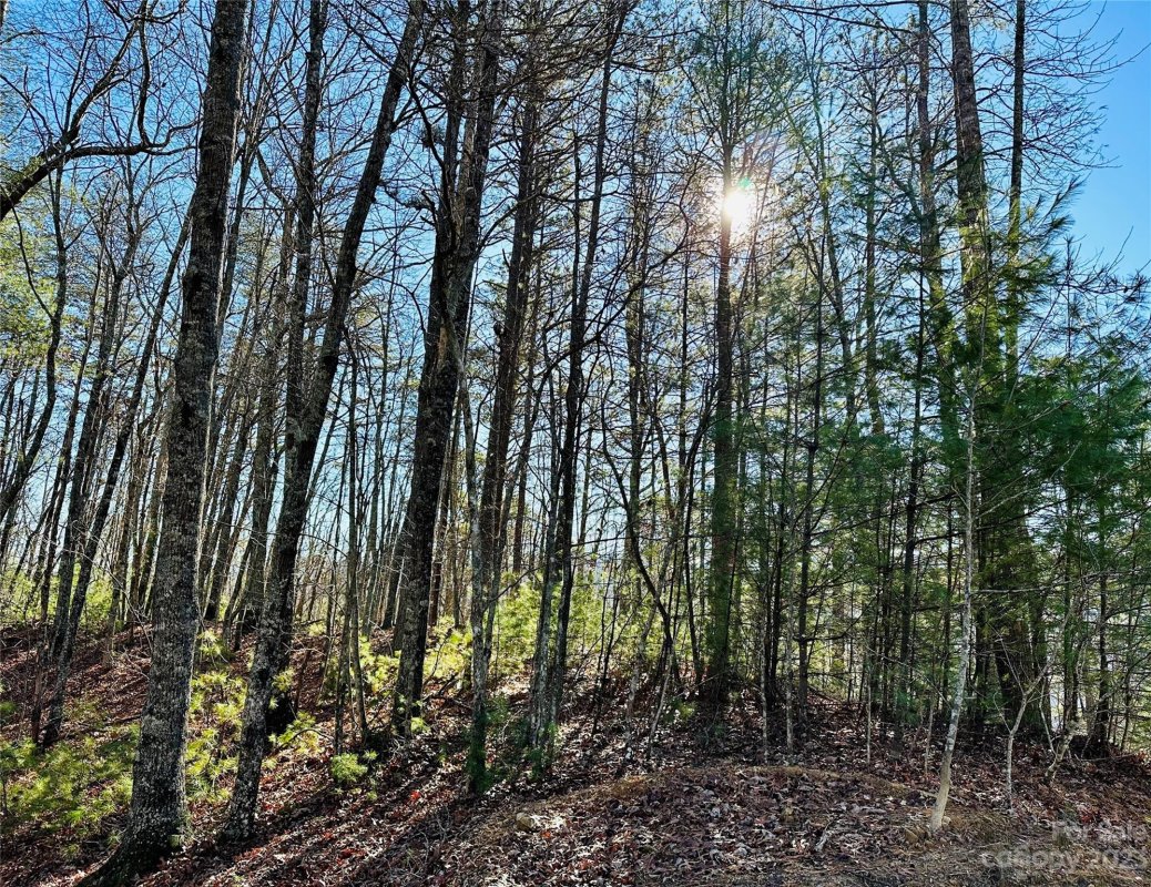 71 Turkey Trot Trail 16