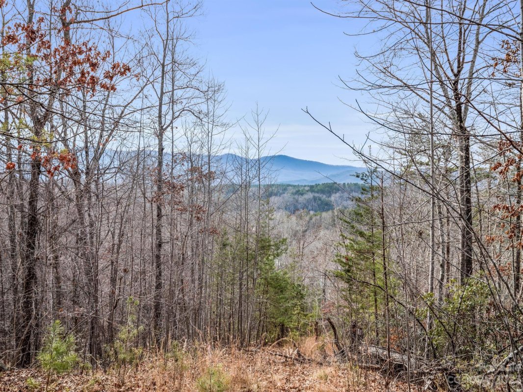 Lot 4 Parkway North Road