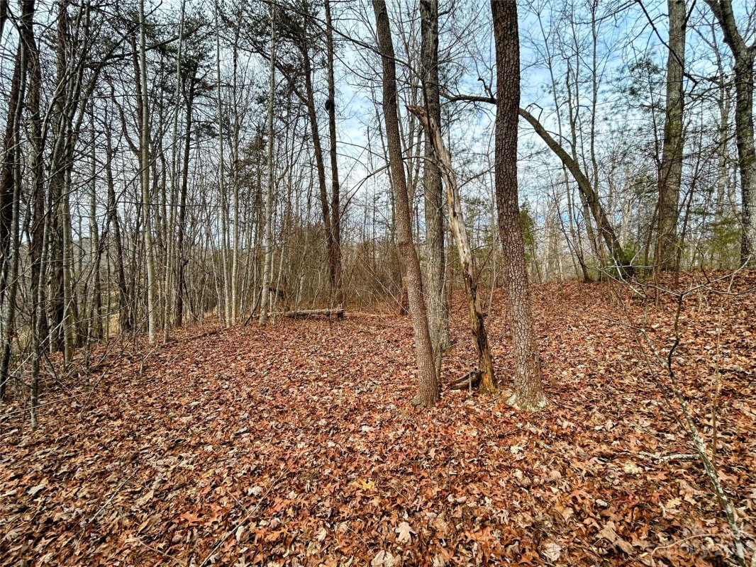Lot 1 Azalea Way