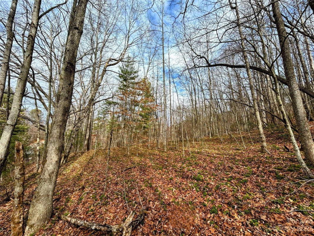 Lot 8 Azalea Way