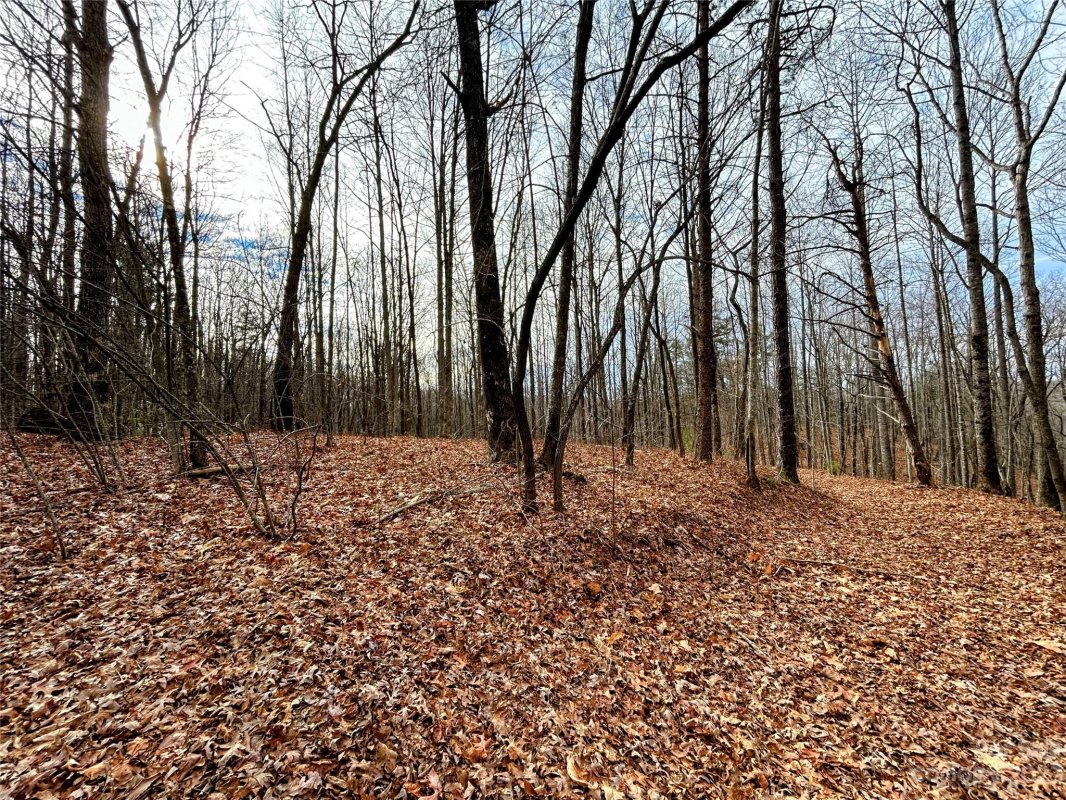 Lot 13 Rhododendron Drive