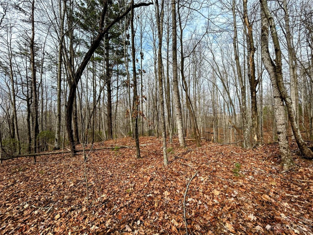 Lot 14 Rhododendron Drive