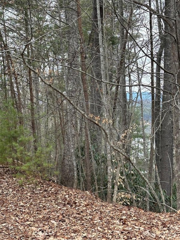 Lot 29 Waters Edge Drive