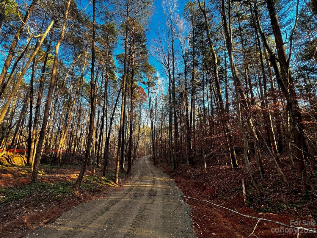 126 Hunt Camp Trail 20