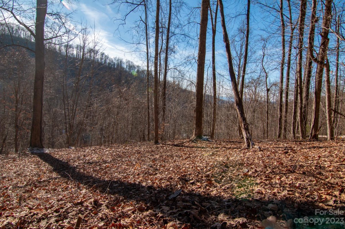 99999 High Timber Trail Lot 108