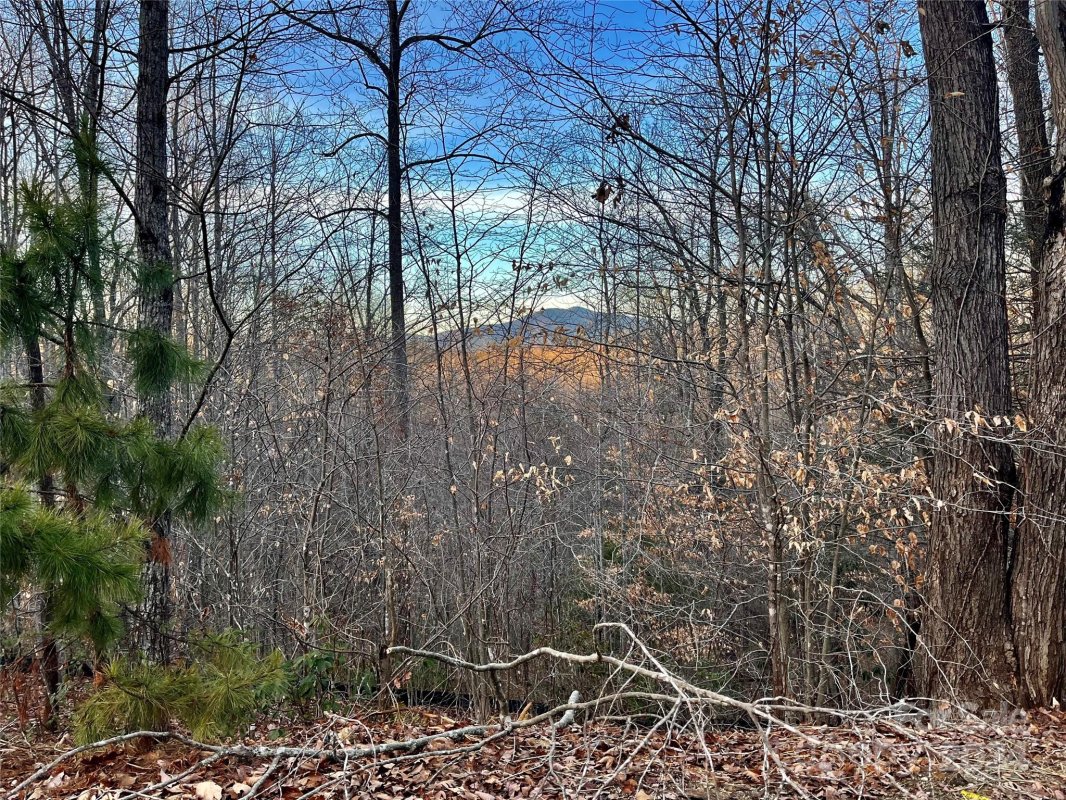 Lot 79 Big Branch Drive