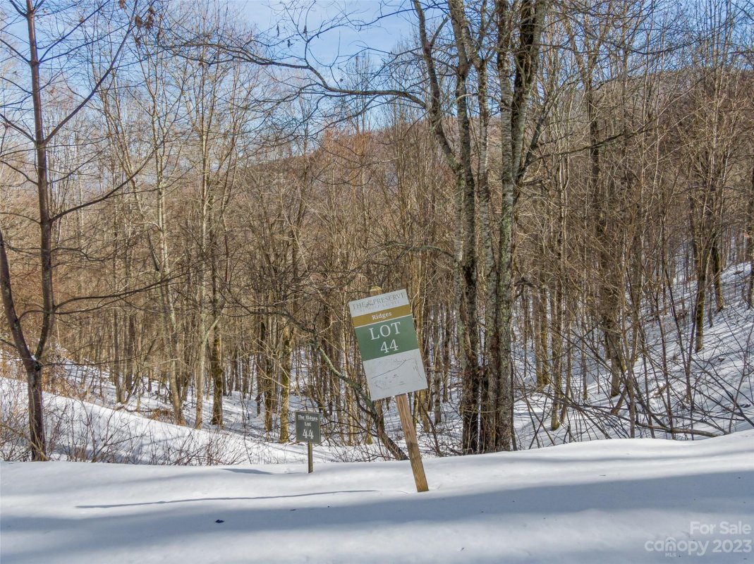 Lot 44 Black Bear Run