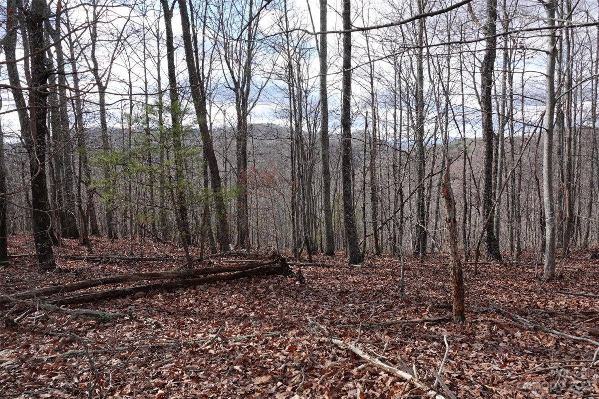 79 Longview Trail