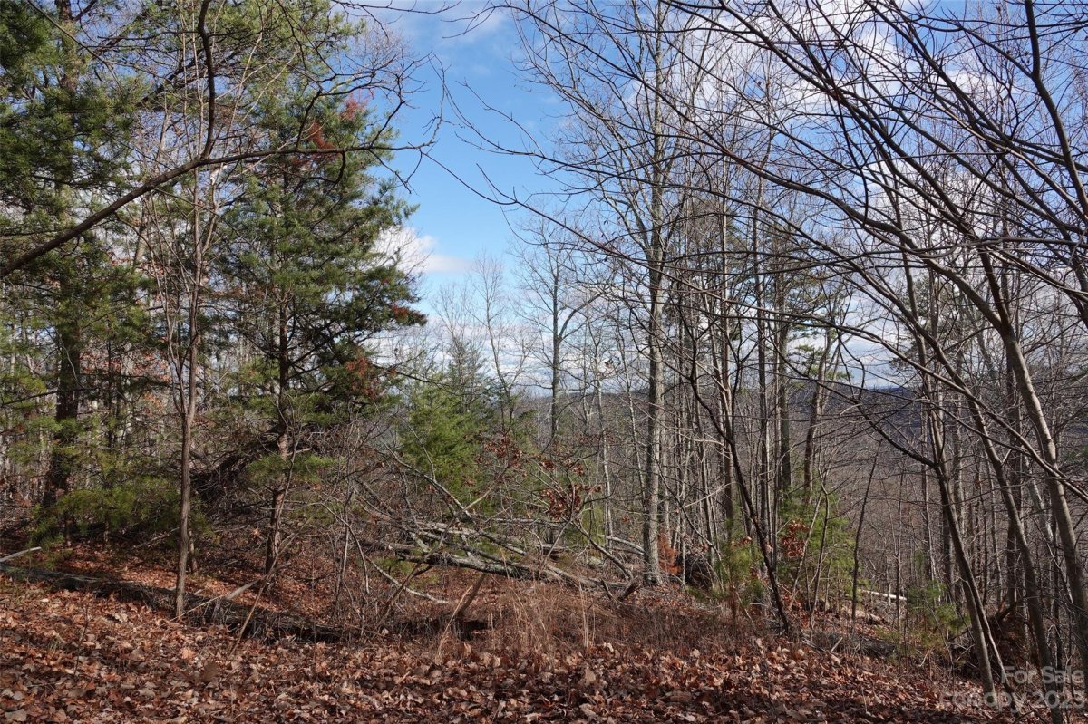 82 Longview Trail