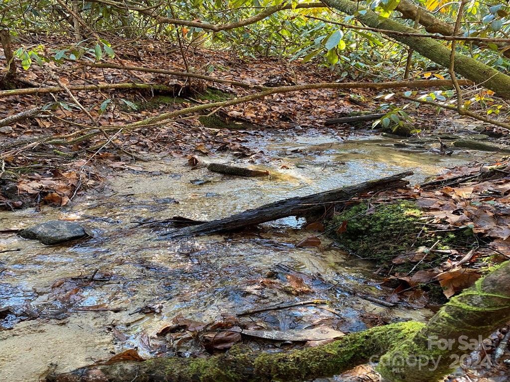 L41 Abby Falls Road