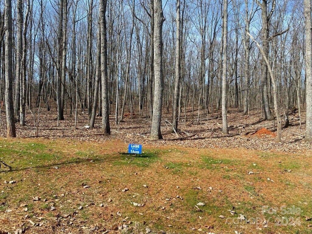 Lot 6 Brancer Lane