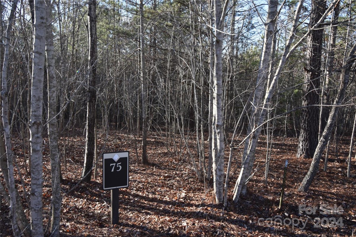 Lot 75 Tayberry Drive