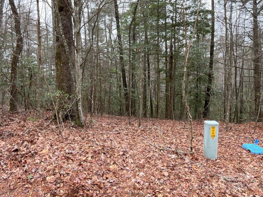 9999 Upper Whitewater Road 122