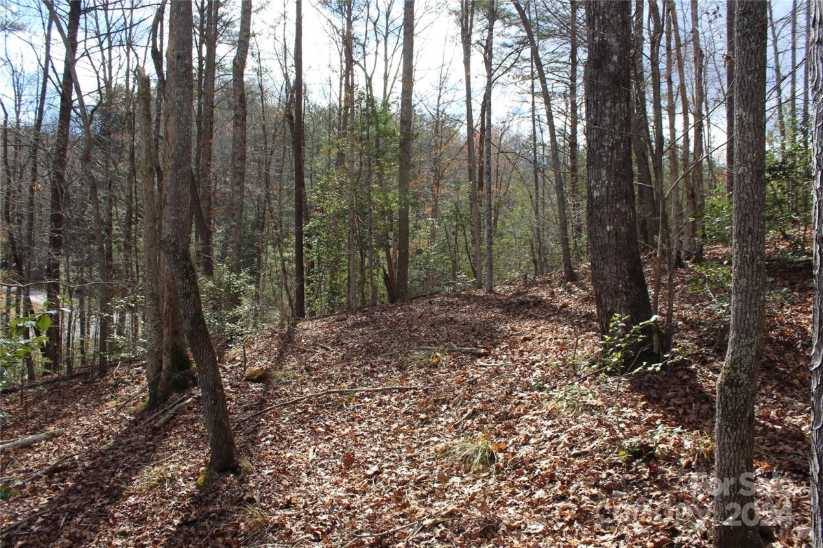 0 Sweetbriar Road 72