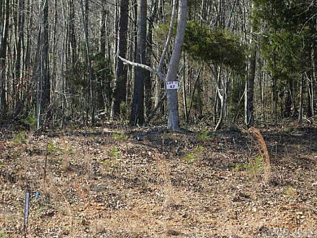 Lot 47 Beaver Dam Drive