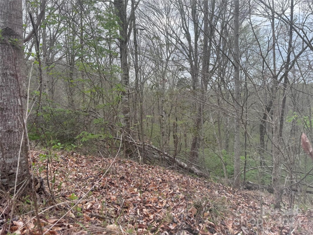0 Cross Creek Drive 144