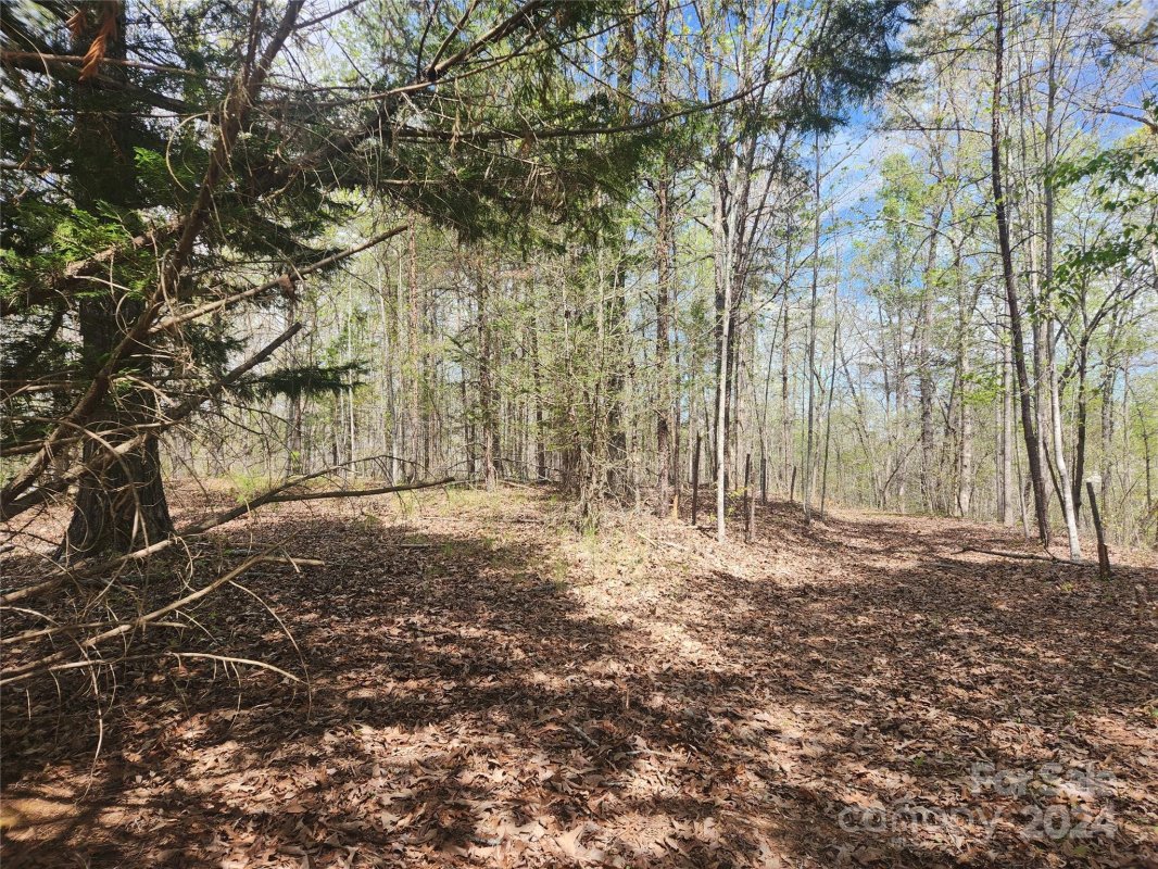 00 Millcreek Way 24