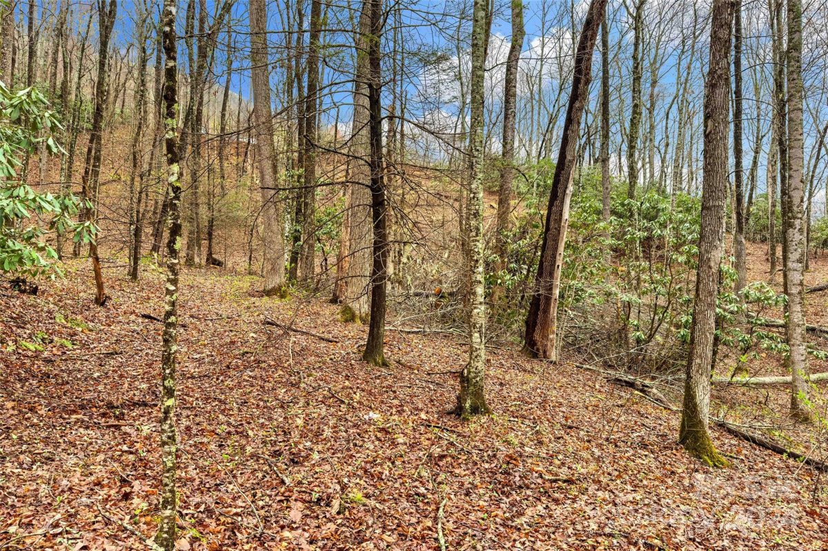 V L Hemlock Drive 131