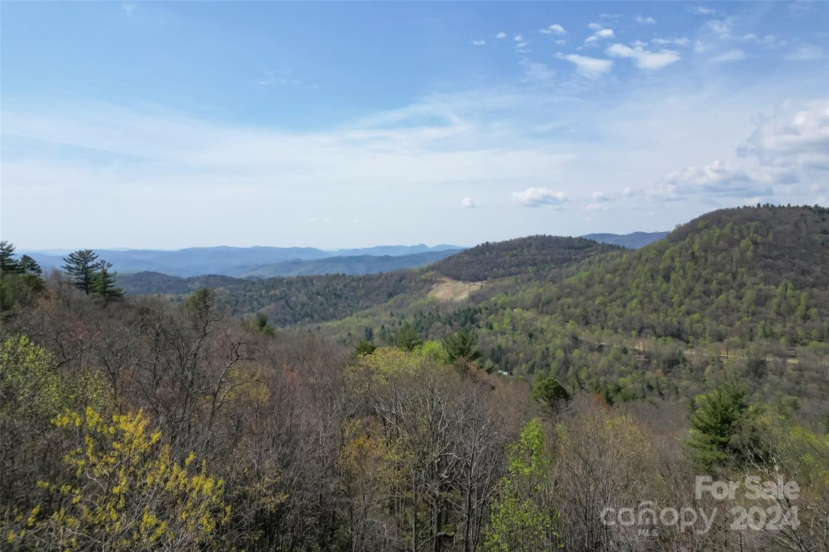 231 Deer Oaks Road