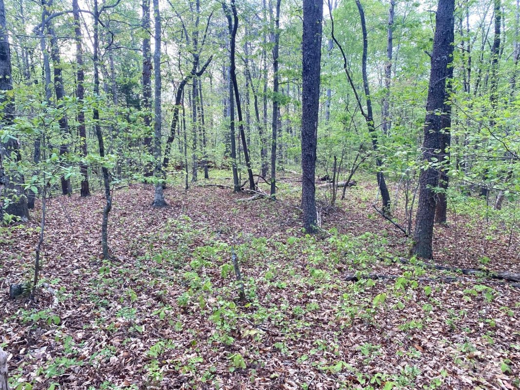 0 Beechwood Circle 34