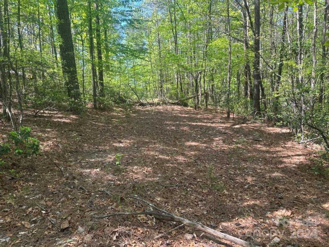 Lot 11 Pisgah Preserve Drive