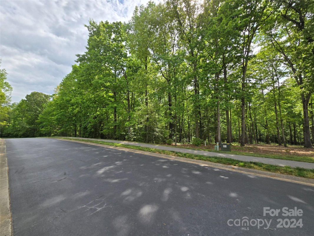 145 Patterson S Bridge None 38
