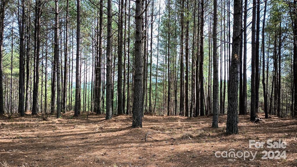 114 Table Rock Trace