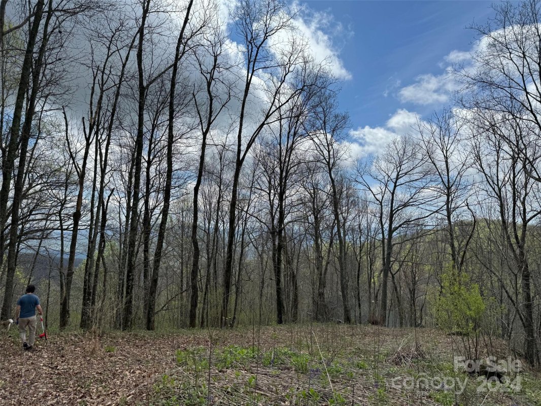 99999 Hickory Forest Road