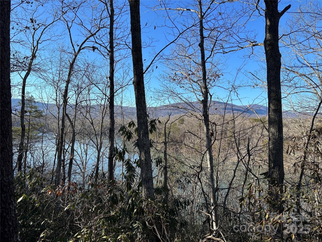 Lot 62 Lake Adger Parkway