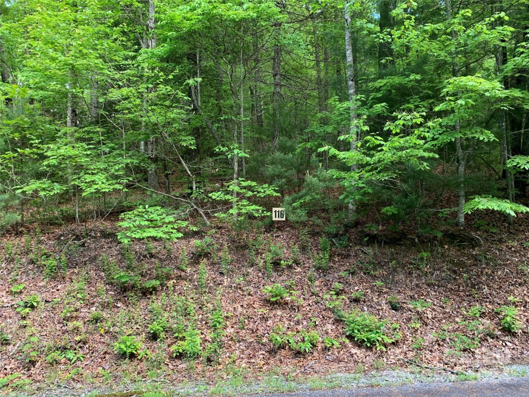 Lot 116 Green Hollow Lane