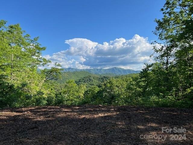 Lot 70 Round Top Road
