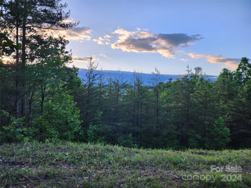 87 Mountain Lookout Drive