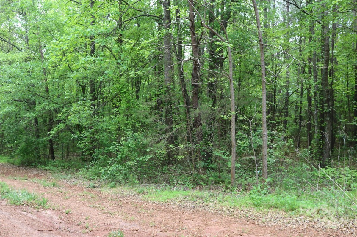 00 Vista Drive