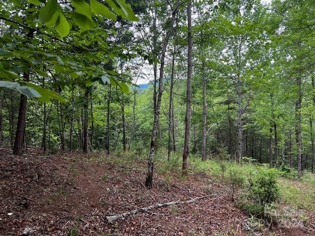 Lot 11 Lake Adger Parkway
