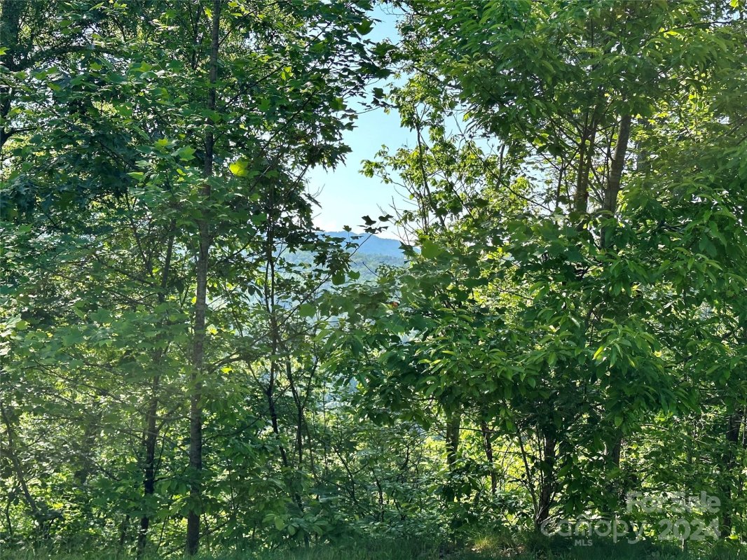 385 Wild River Run