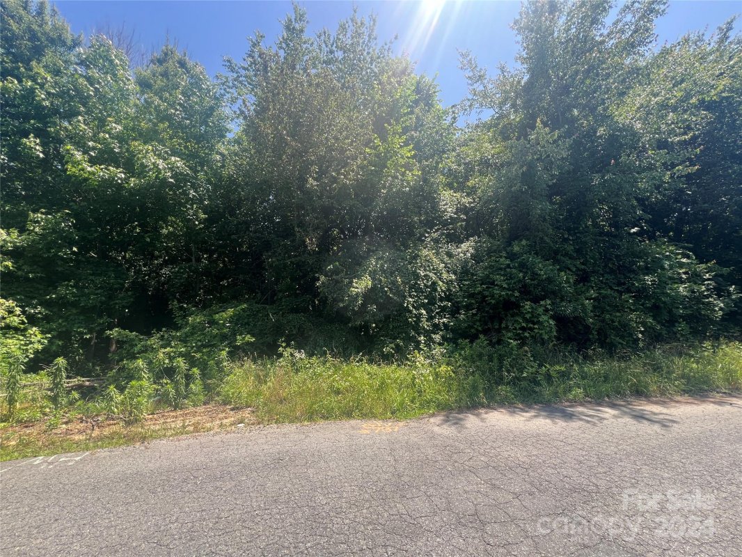 0000 White Oak Lane