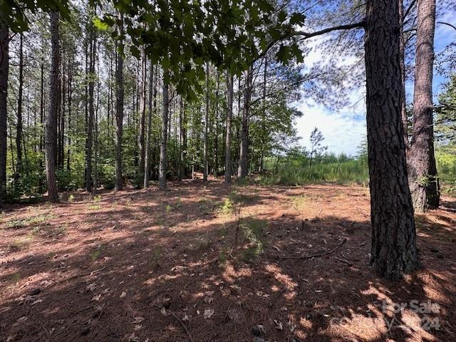 106 Table Rock Trace 158