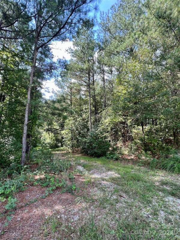 02 Old Greenbriar Drive 11