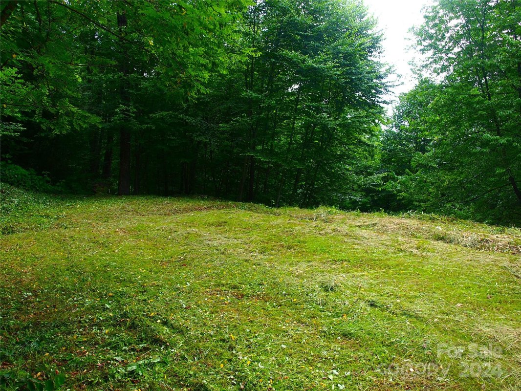 00 Spruce Flats Road 6
