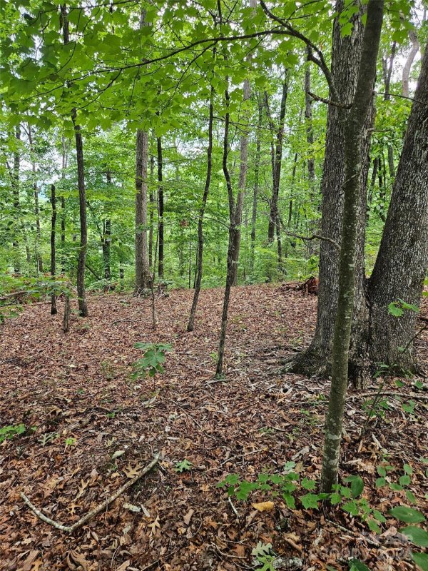 0 Deer Jump Trail 347