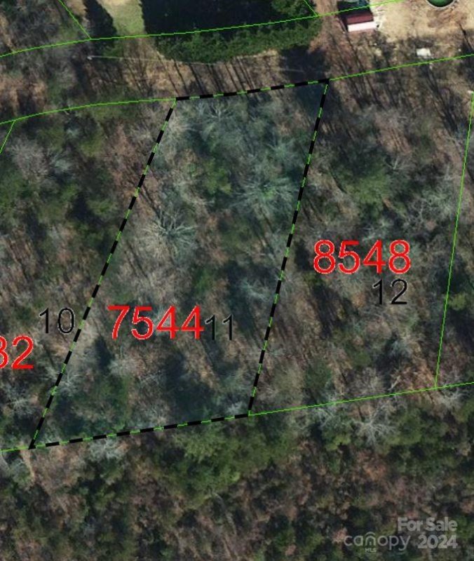 Tbd Biggerstaff Loop